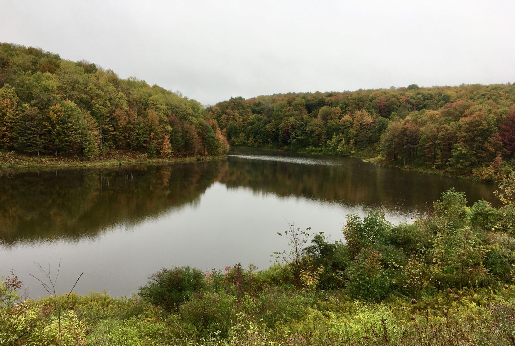 Fall colors popping out of Southern Tier landscapes